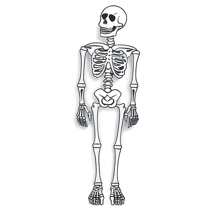 Cartoon Skeleton In Love Png 06262024