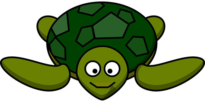 Cartoon Smiling Turtle Graphic