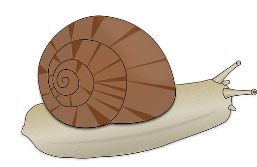 Cartoon Snail Illustration PNG image with a transparent background, free high-resolution download