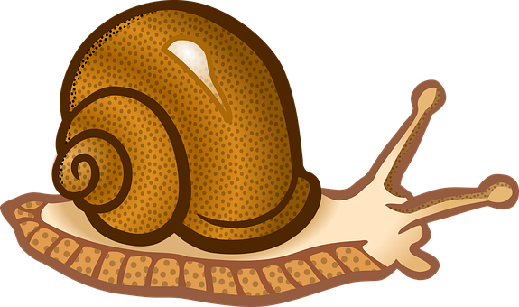 Cartoon Snail Illustration