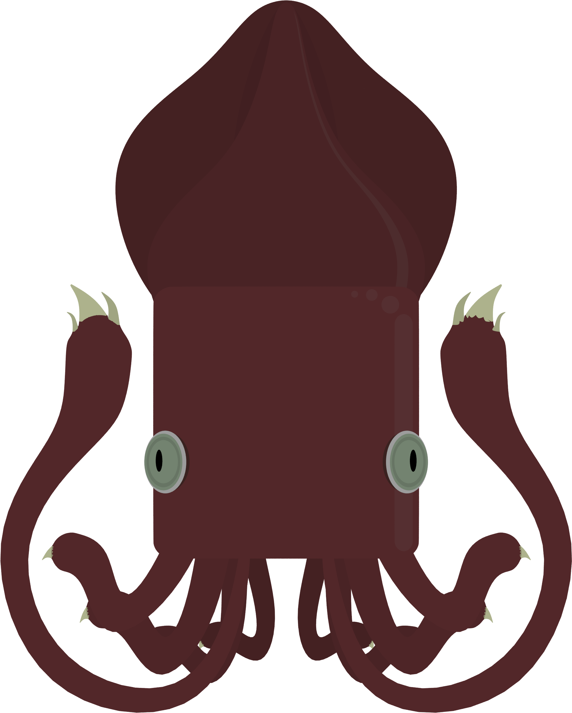 Cartoon Squid Illustration