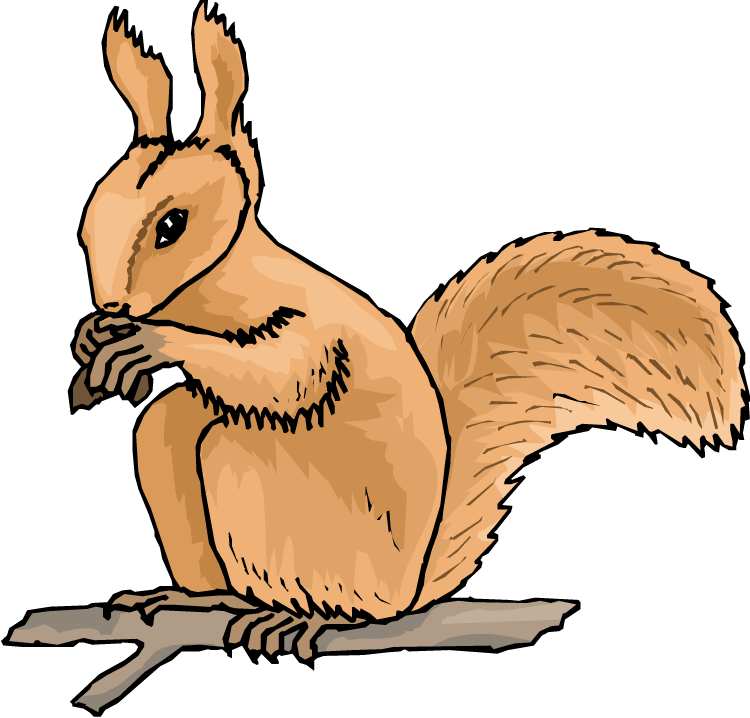 Cartoon Squirrel Eating Nut