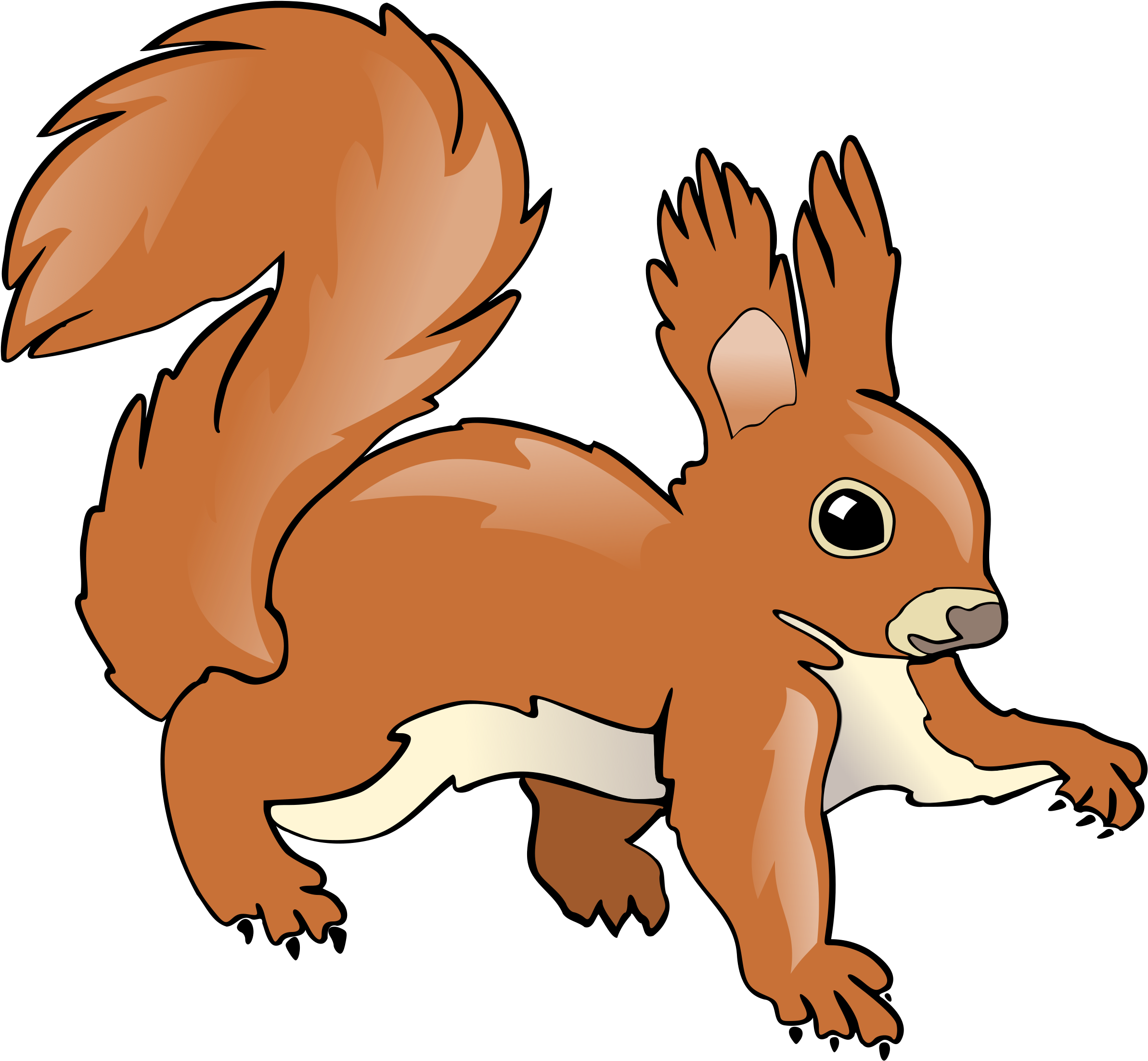 Cartoon_ Squirrel_ Illustration.png PNG with transparent background