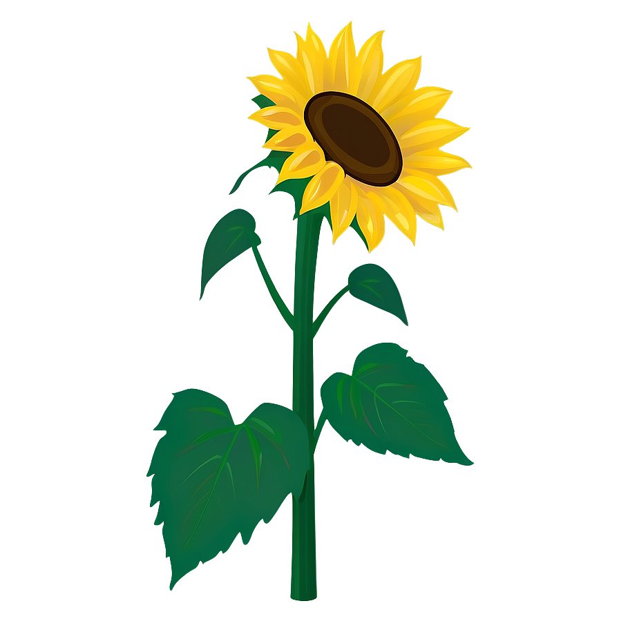 Cartoon Sunflower PNG 05032024 PNG with transparent background
