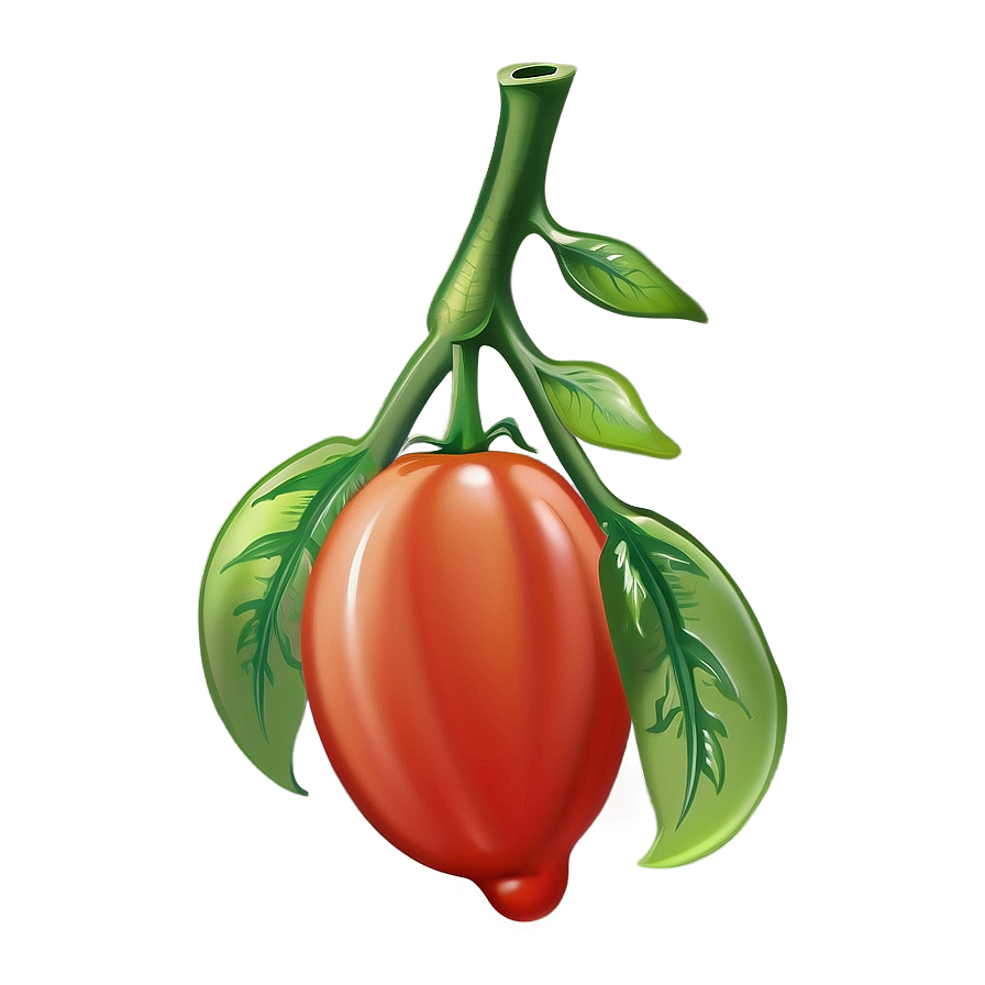 Cartoon Tomato Png 34