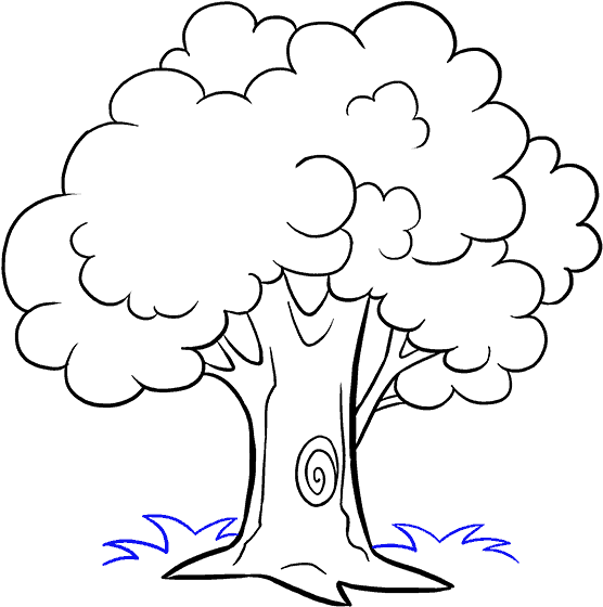 How To Draw Trees Drawing Cartoon Sketch - Cartoon Sketch Tree Drawing, HD Png Download PNG with transparent background