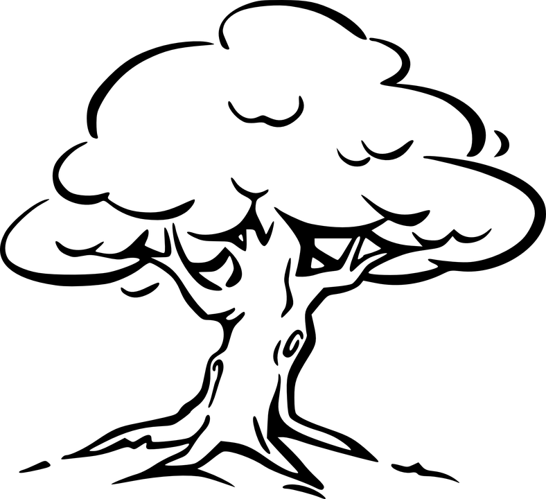 Cartoon Tree Line Drawing