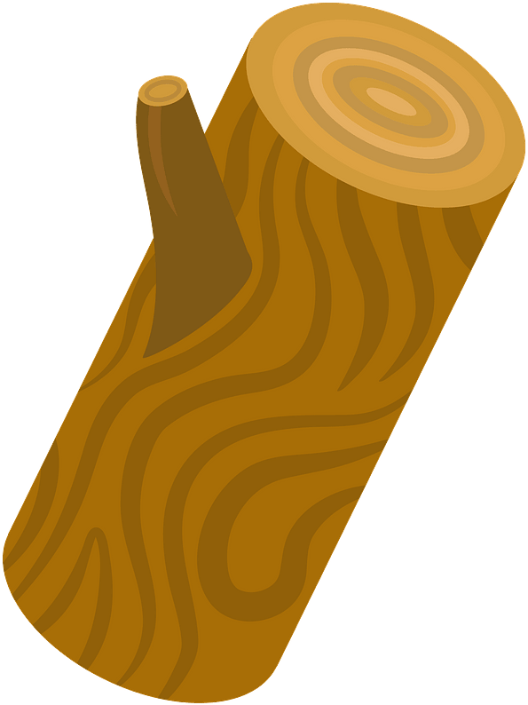 Tree Trunk Clipart - Illustration, HD Png Download PNG with transparent background