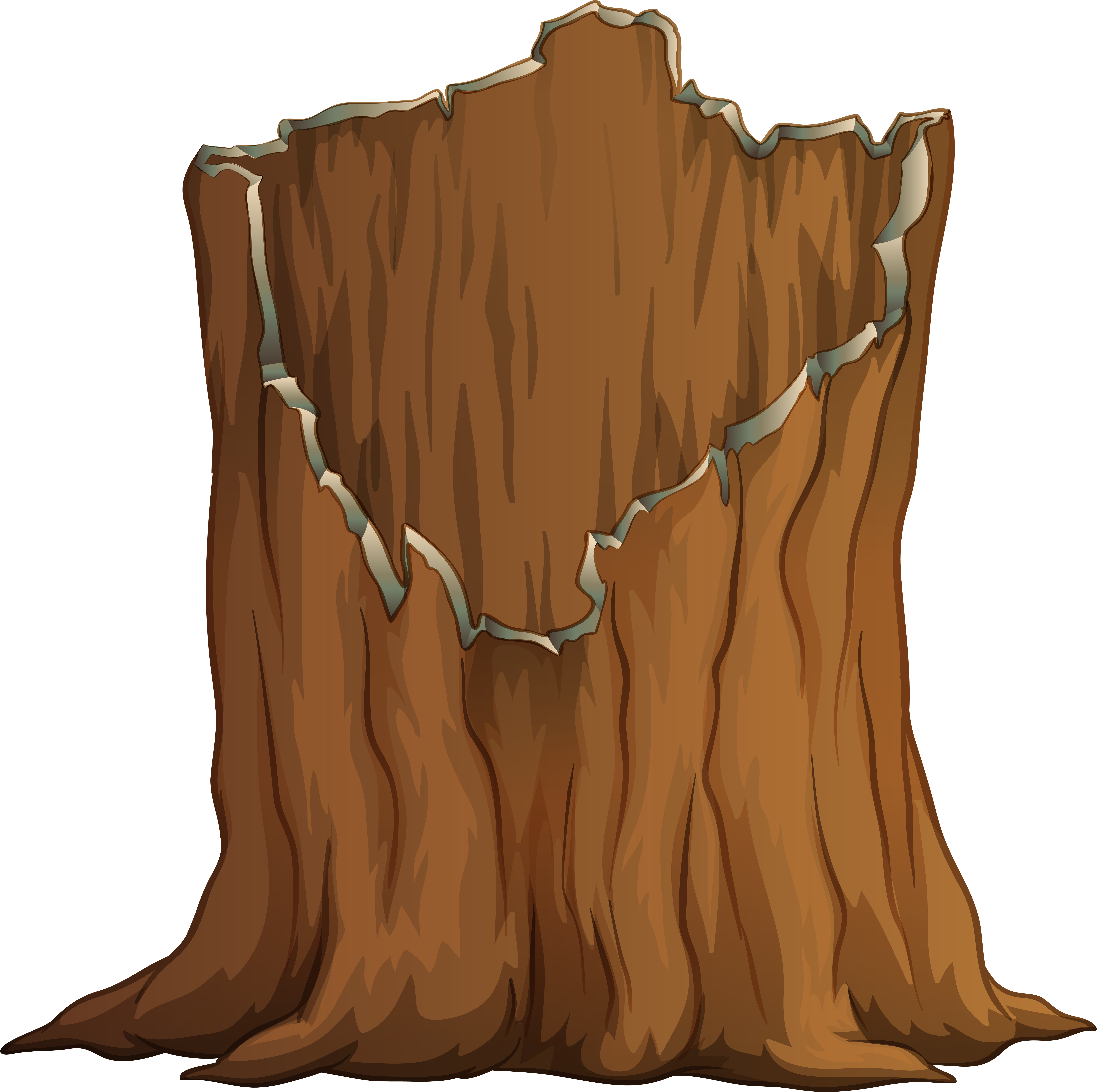 Transparent Tree Trunk Png, Png Download PNG with transparent background