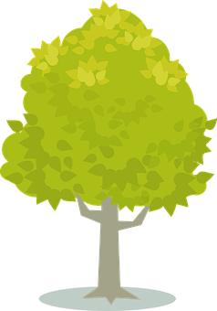 Cartoon Tree Vector Illustration PNG with transparent background