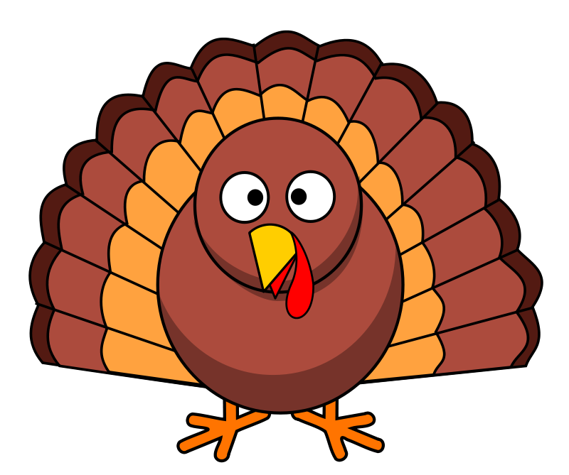 Cartoon Turkey Illustration PNG with transparent background