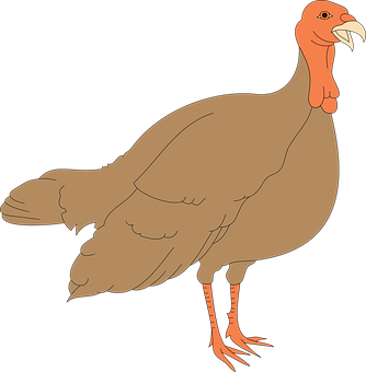 Cartoon Turkey Illustration PNG with transparent background