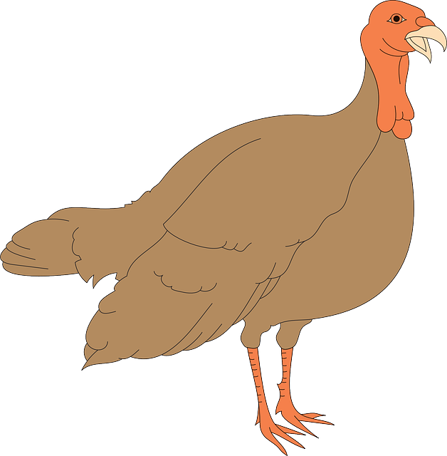 Cartoon Turkey Illustration