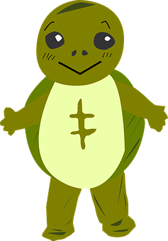 Cartoon Turtle Character PNG with transparent background