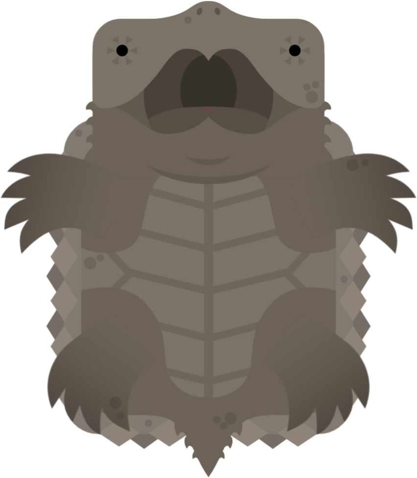Cartoon Turtle Character PNG with transparent background