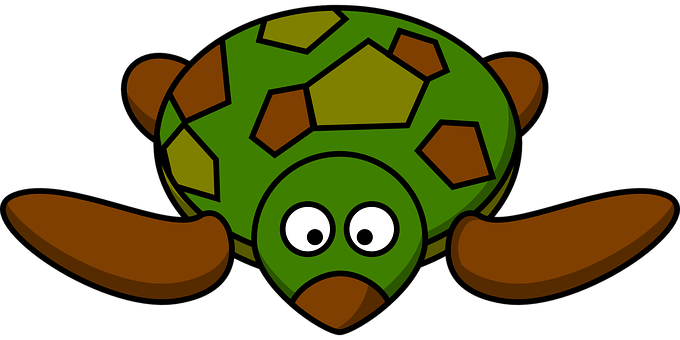 Cartoon Turtle Graphic