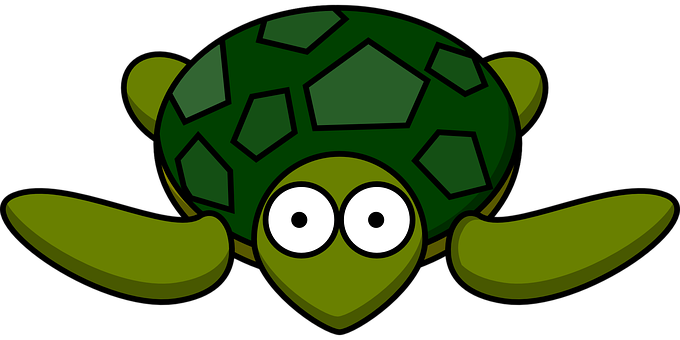 Cartoon Turtle Graphic PNG with transparent background