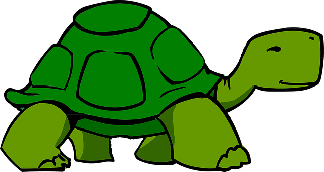 Cartoon_ Turtle_ Graphic PNG with transparent background