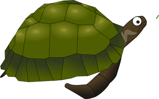 Cartoon Turtle Illustration