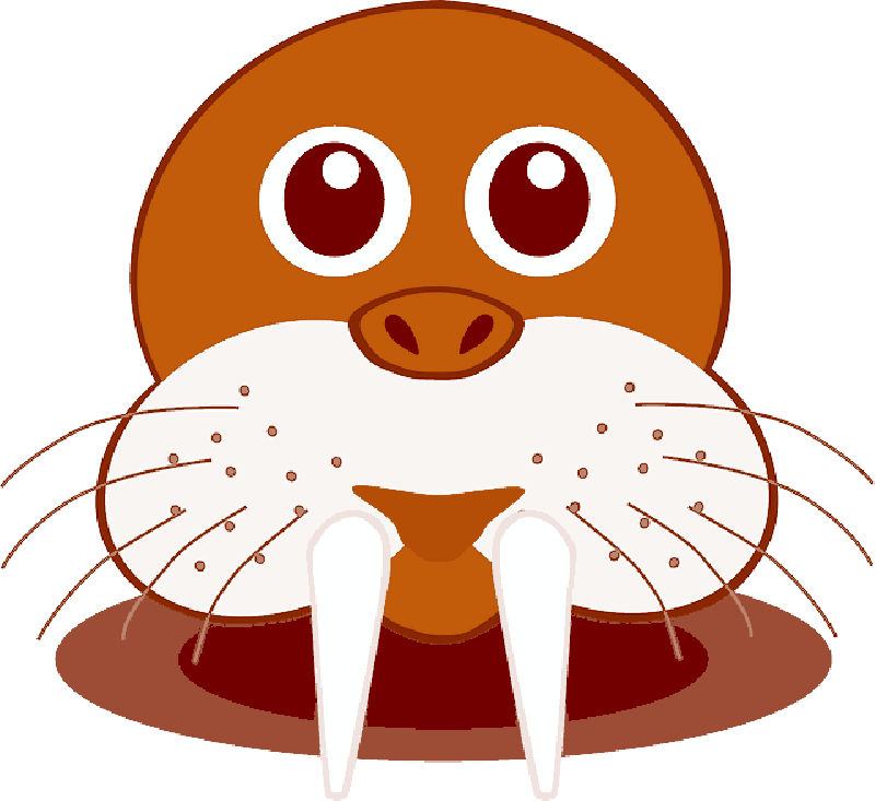 Cartoon Walrus Face Graphic