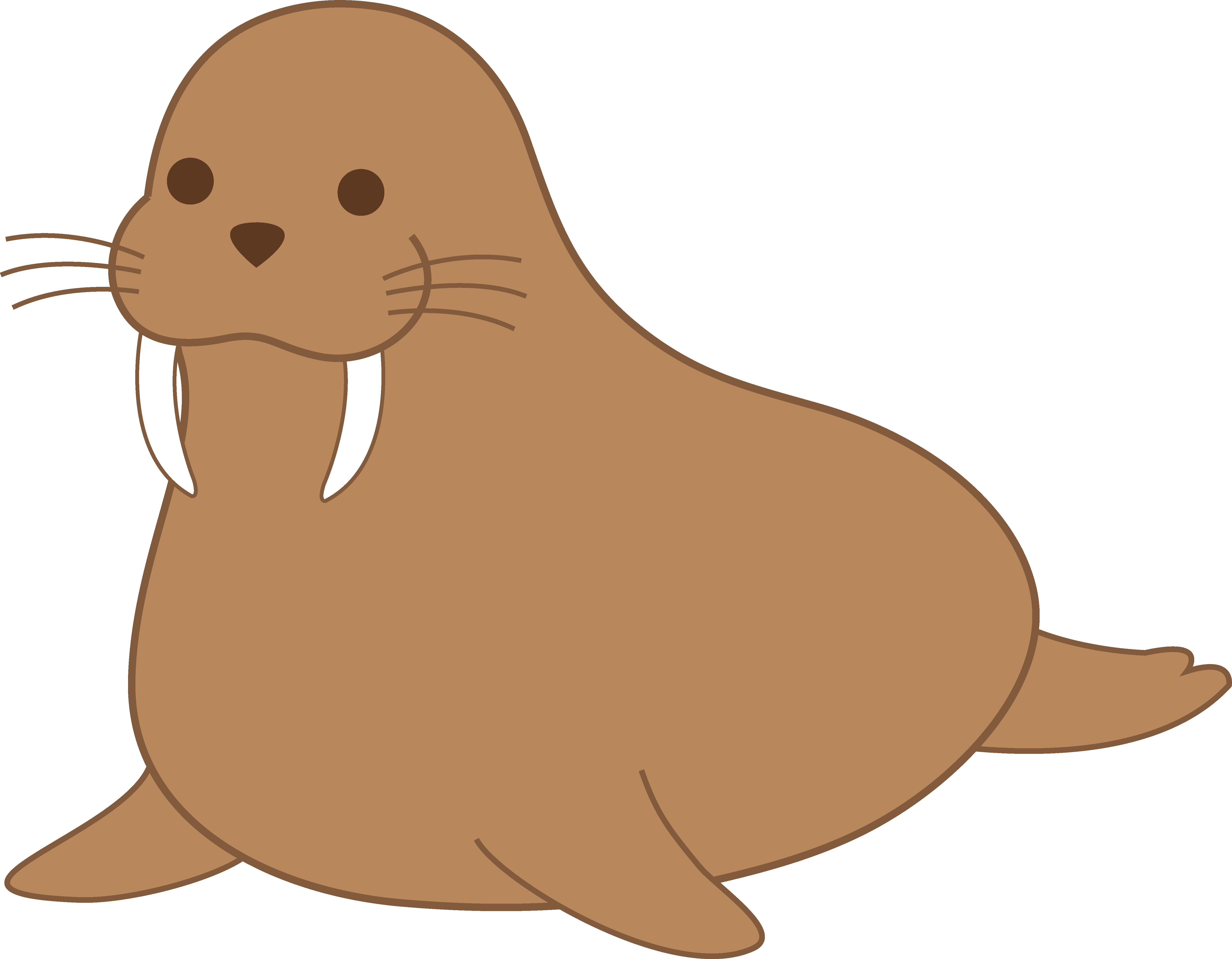 Cartoon Walrus Illustration