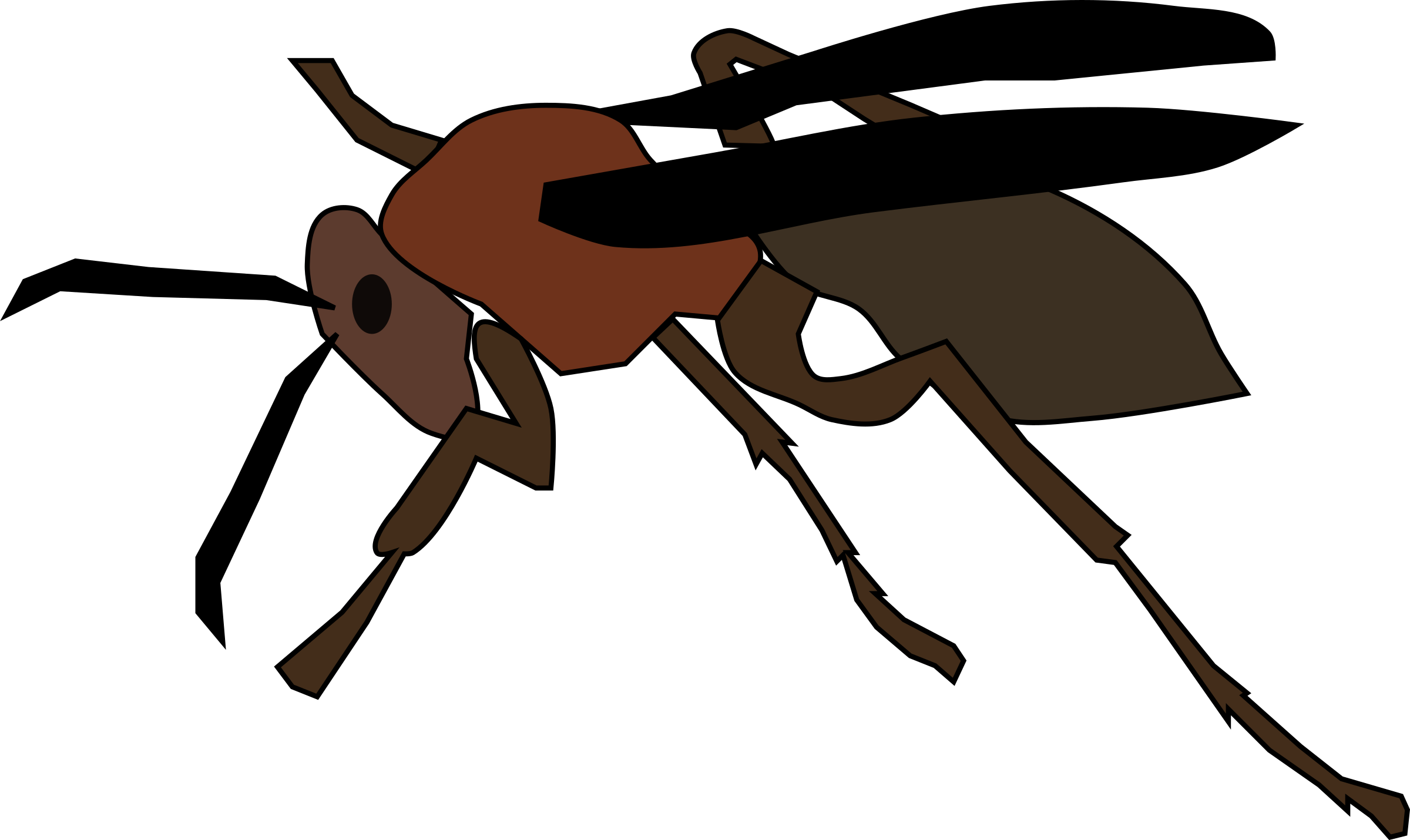 Cartoon Wasp Illustration PNG with transparent background