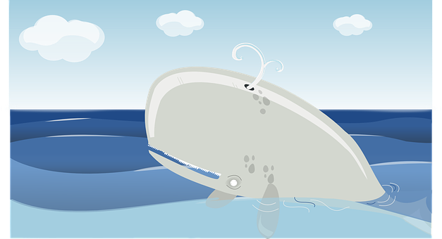 Cartoon Whale Breaching PNG with transparent background