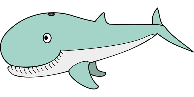 Cartoon Whale Illustration PNG with transparent background