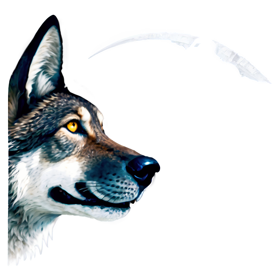 Cartoon Wolf Face Png Dyh1