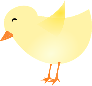 Cartoon Yellow Chick Illustration PNG with transparent background