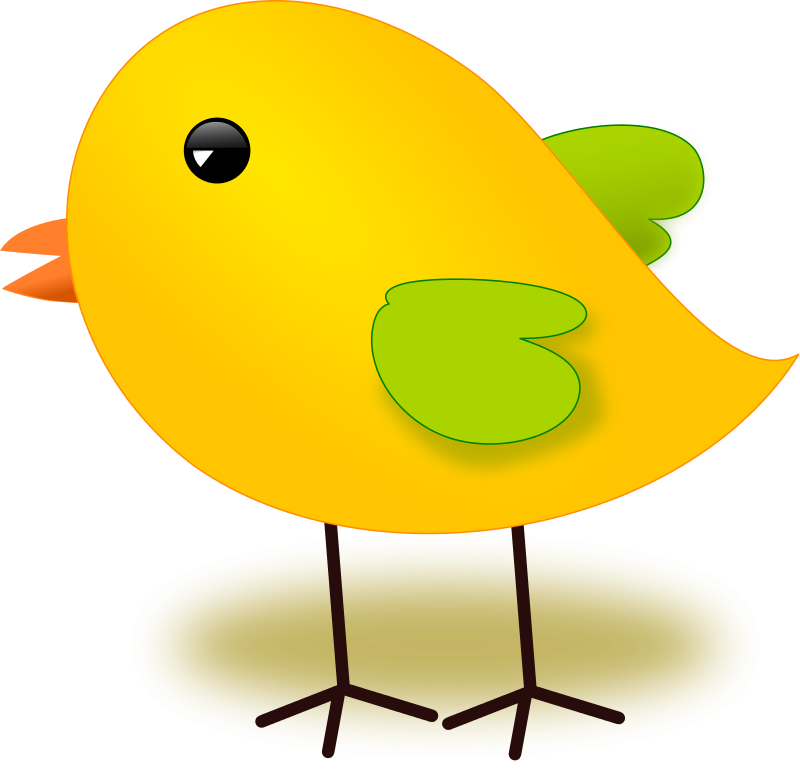 Cartoon Yellow Chick Illustration PNG with transparent background