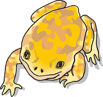 Cartoon Yellow Frog Illustration PNG with transparent background