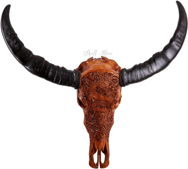 Carved Buffalo Skull - Water Buffalo, HD Png Download PNG with transparent background
