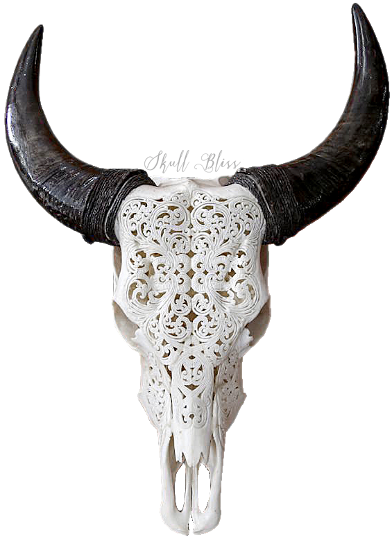 Carved Goat Skullwith Horns