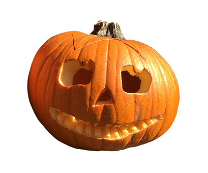 Carved Halloween Pumpkin Isolated