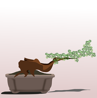 Cascading Bonsai Illustration PNG image with a transparent background, free high-resolution download