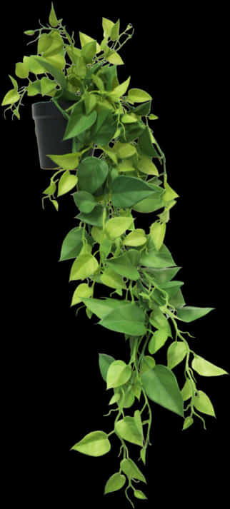 Cascading Greenery Hanging Plant.jpg