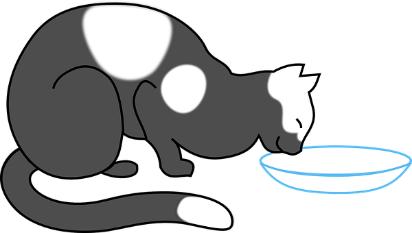 Cat Drinking Water Silhouette Illustration