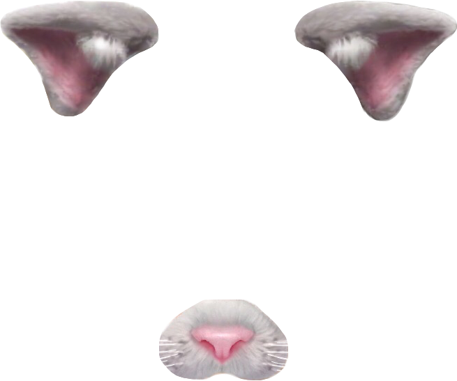 Cat Face Parts Transparent Background PNG with transparent background
