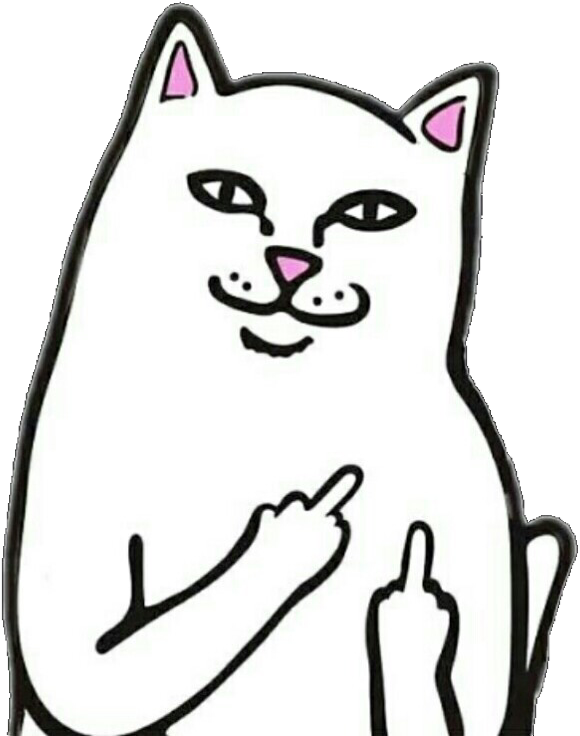 #cat #png #fu #freetoedit - Fuck You Cat Meme, Transparent Png PNG with transparent background