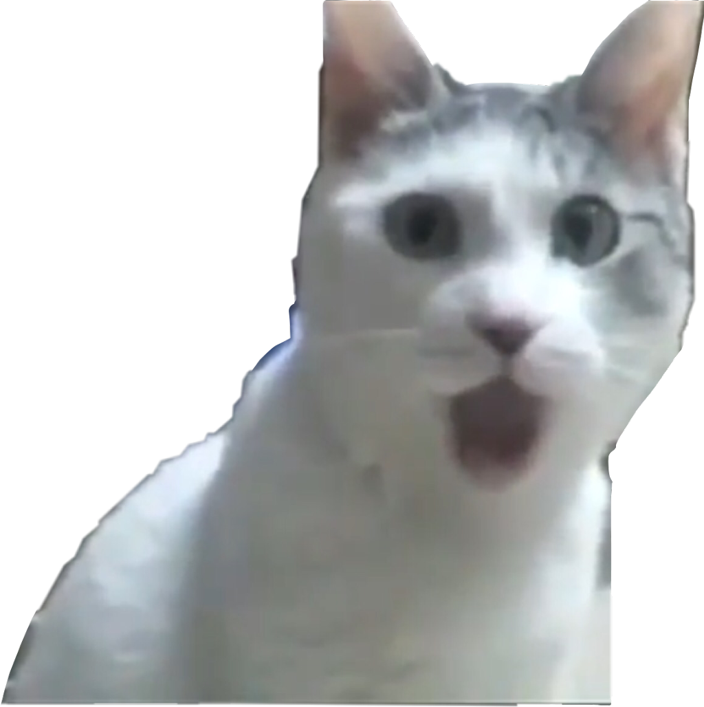 #cat #reaction #meme #surprising #vines #doitforthevine - Jaw Dropping Cat, HD Png Download PNG with transparent background