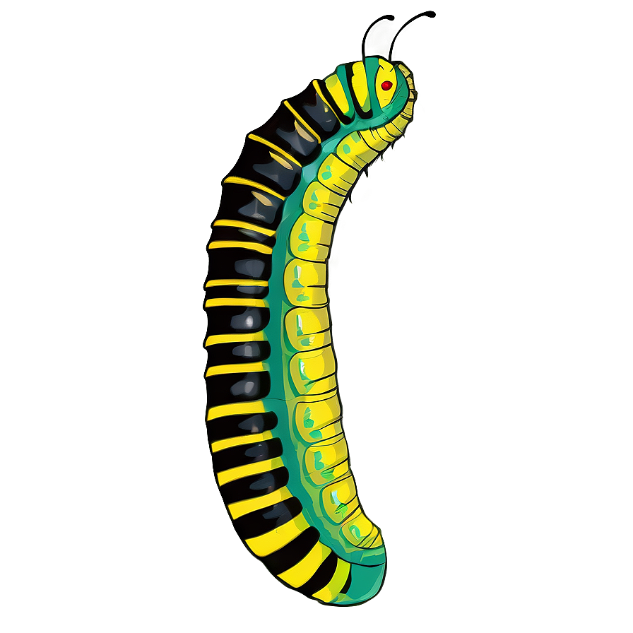 Caterpillar Becoming Chrysalis Png Aet