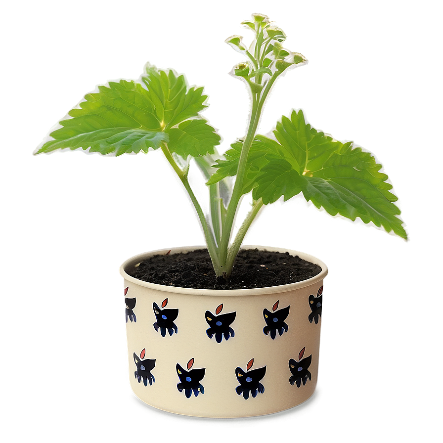 Catnip Growing Kit Png 06242024