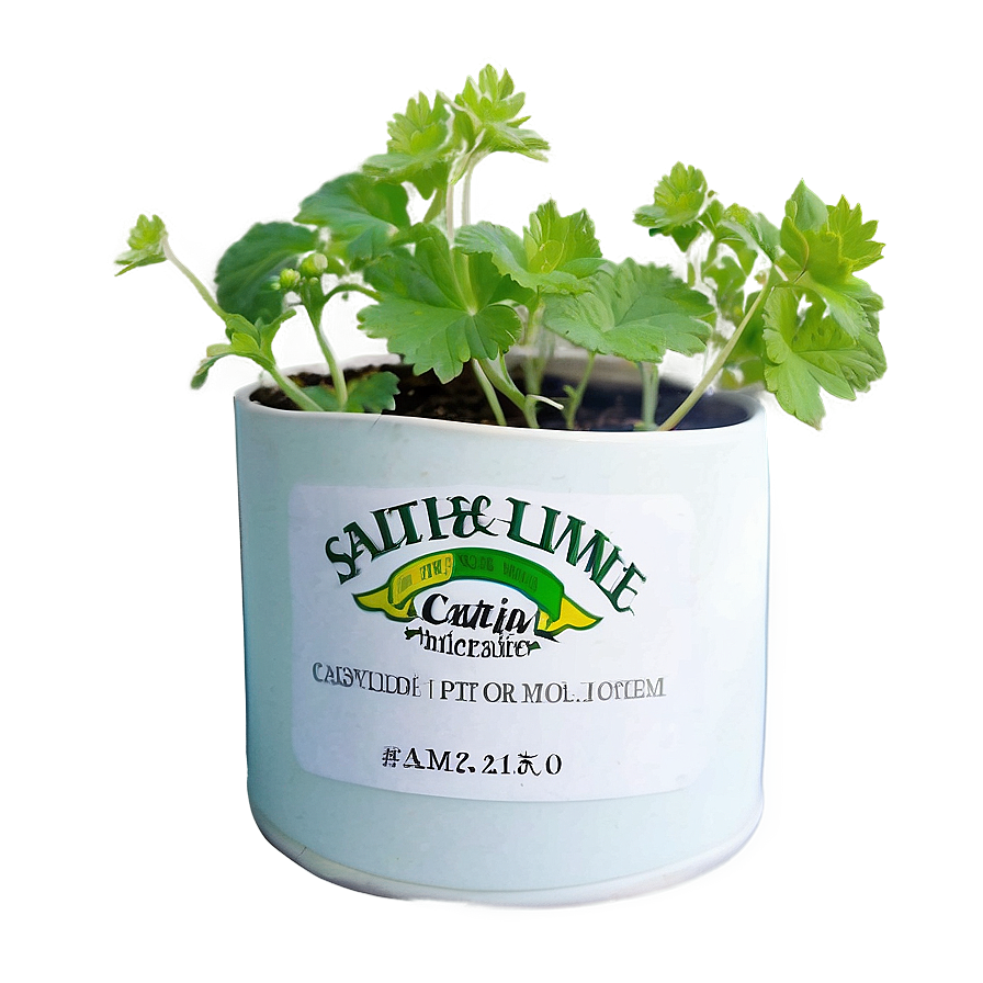 Catnip Growing Kit Png Gwg22