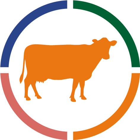 Cattle Silhouette Colorful Circle Background