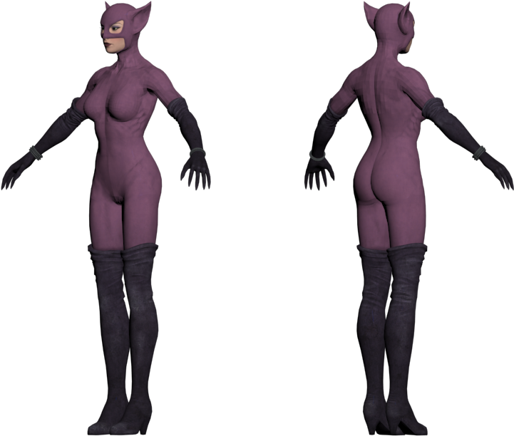 Catwoman3 D Model Frontand Back View