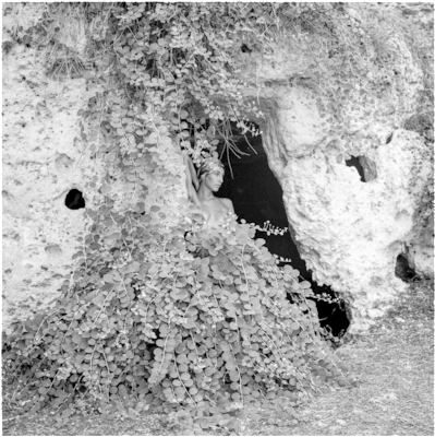 Prova7 - Pit Cave, HD Png Download PNG image with a transparent background, free high-resolution download