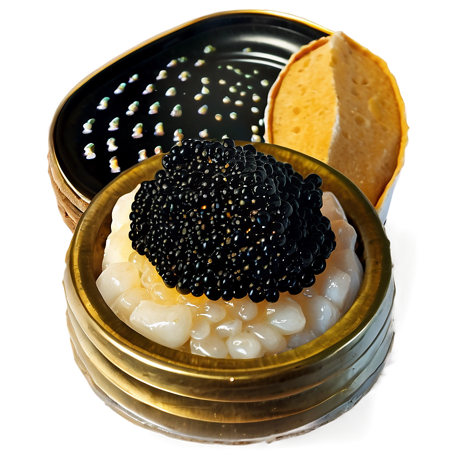 Caviar Feast Png 78