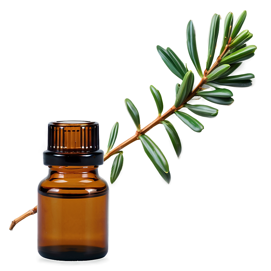 Cedar Atlas Essential Oil Png 84