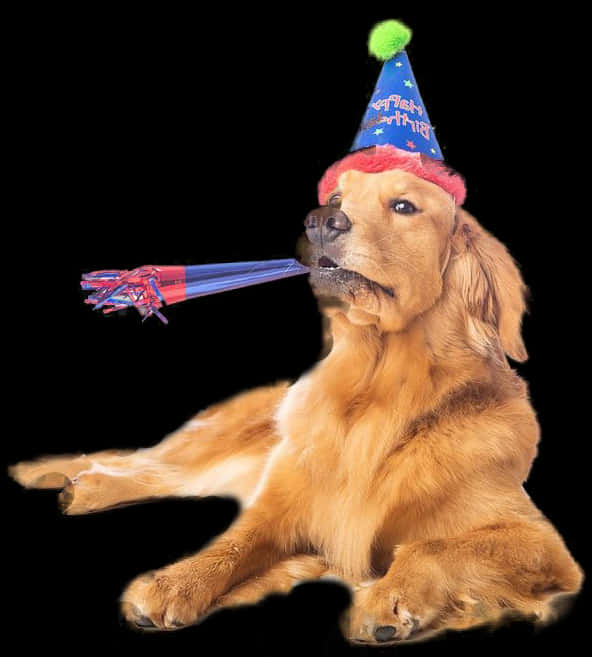 Celebratory Dog With Party Hat PNG with transparent background